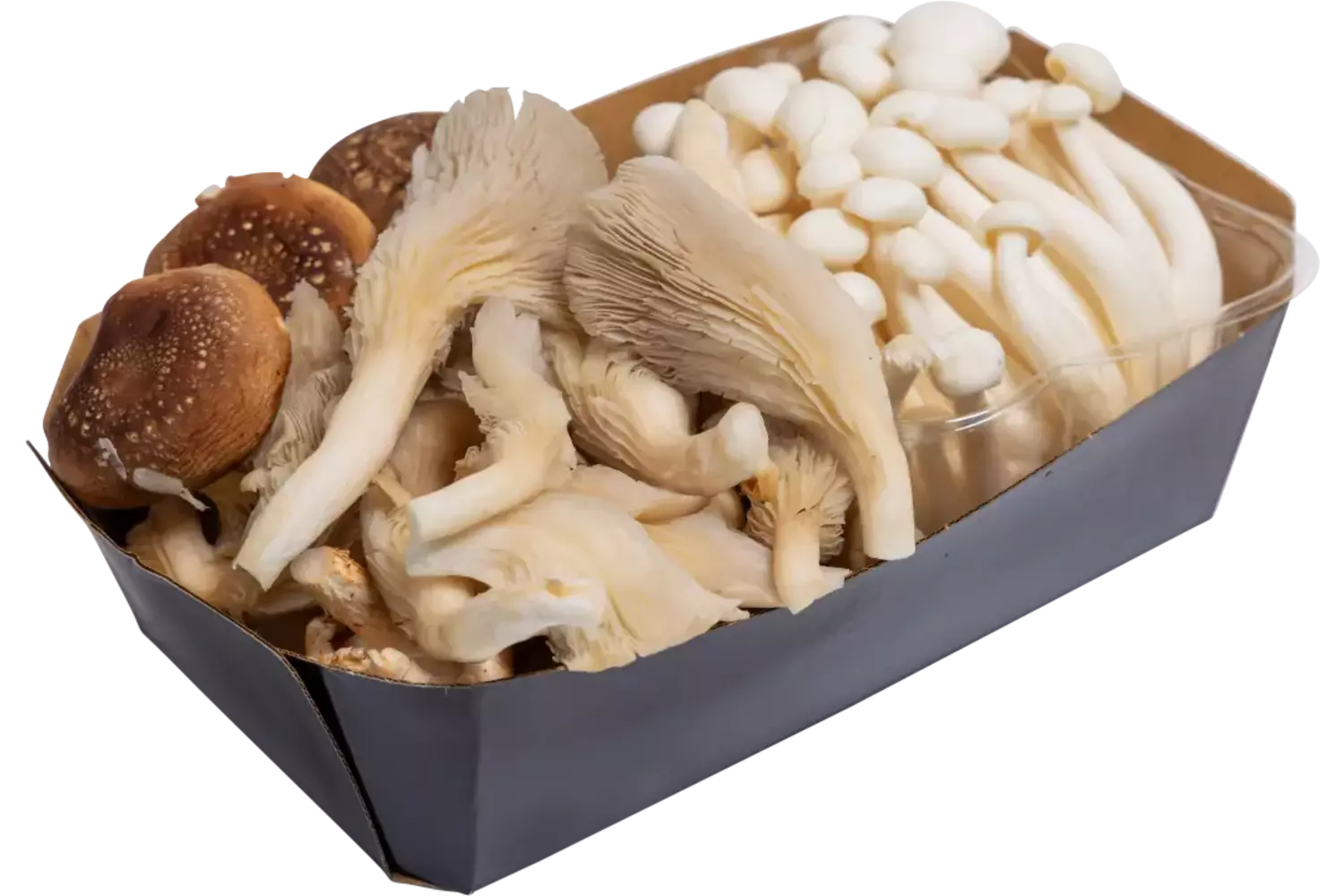 Bospaddenstoelen 500gr stuk